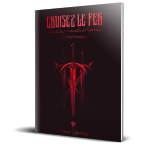 croisez_le_fer_reliee_3d