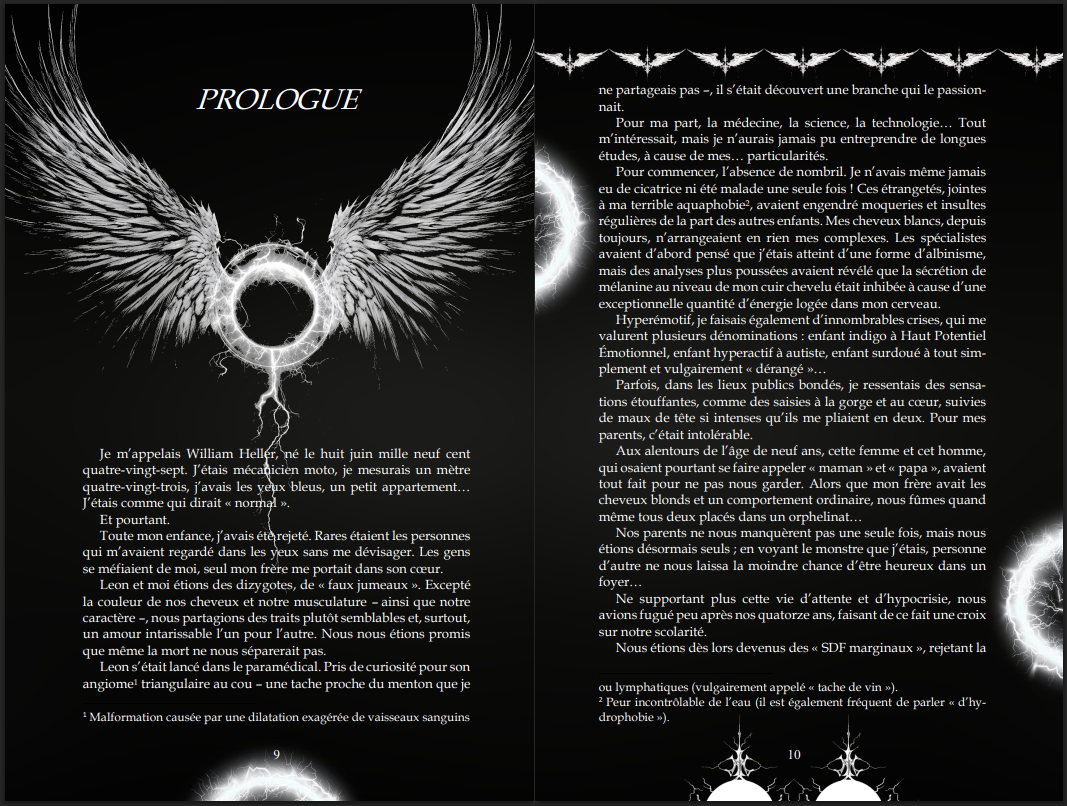 blackwings 1 intérieur reliee